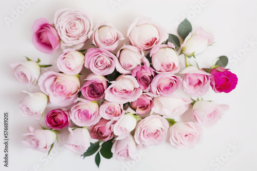 Pink Rose Background - A field of roses in various shades of pink on a white background - Generative AI technology