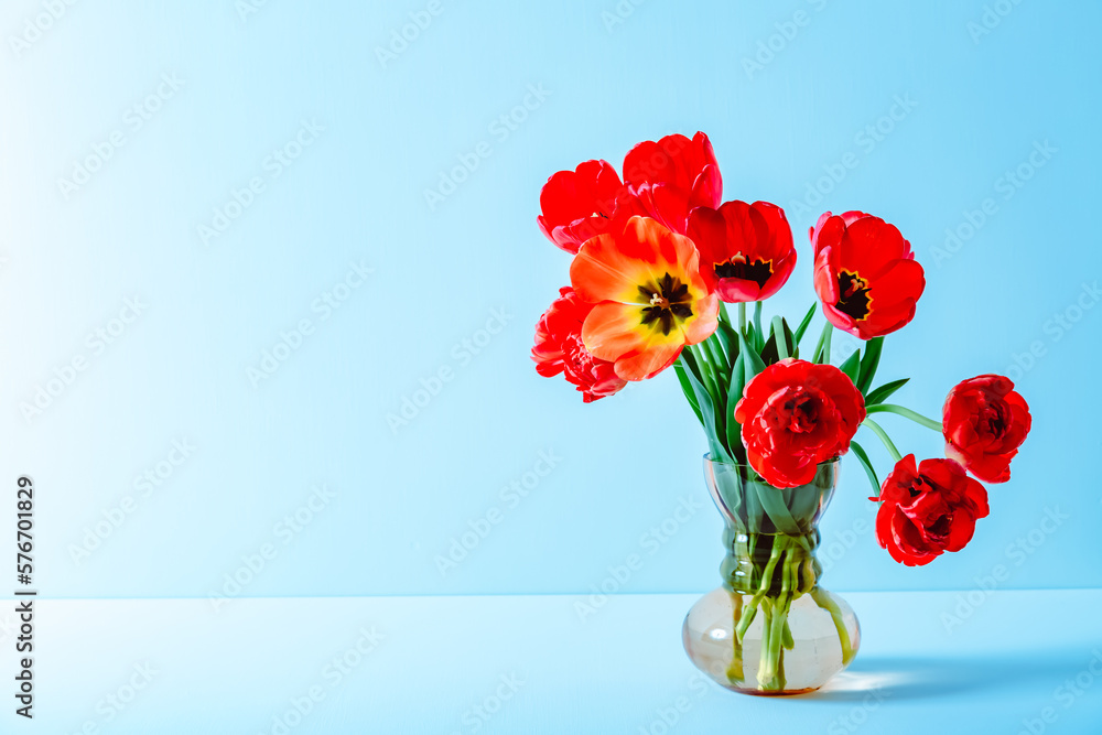 Big flowers bouquet of red tulips in vintage glass vase on blue color background. Copy space. Business card. Invitation postcard. Place for greeting text. International holiday. Banner. Hello spring