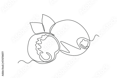 Continuous one line drawing nutmeg. Herb concept. Single line draw design vector graphic illustration.