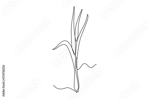 Continuous one line drawing lemon grass. Vegetable concept. Single line draw design vector graphic illustration.