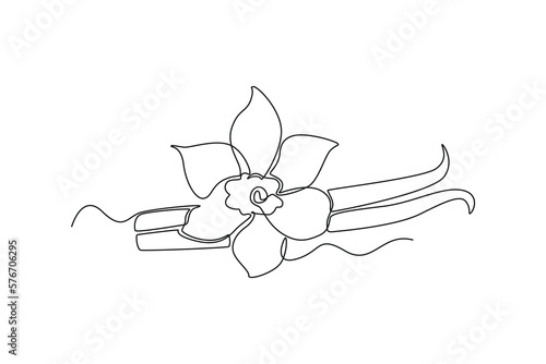 Continuous one line drawing vanilla pods. Herb concept. Single line draw design vector graphic illustration.