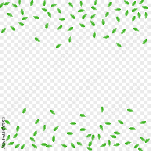 Light Green Sheet Background Transparent Vector. Leaf Silhouette Card. Wild Frame. Greenish Decoration Texture. Foliage Template.