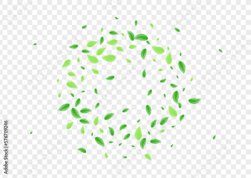 Green Greenery Background Transparent Vector. Leaves Blend Design. Ecology Card. Greenish Vibrant Texture. Vegetation Silhouette.