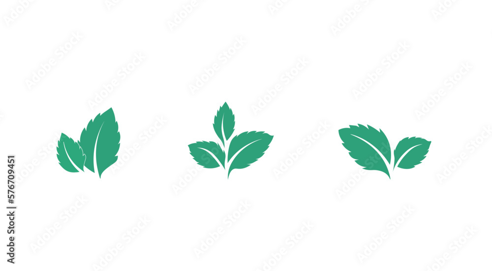 Mint. Icon set. leaves on white background. Vector illustration EPS
 - obrazy, fototapety, plakaty 