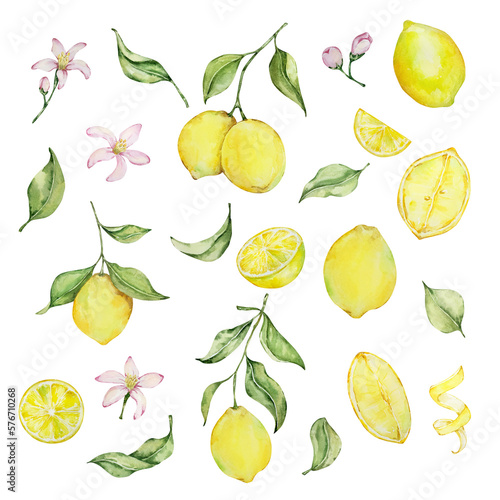 Fototapeta Naklejka Na Ścianę i Meble -  Watercolor mediterranean set, juicy lemons, leaves, flowers, Italian tiles