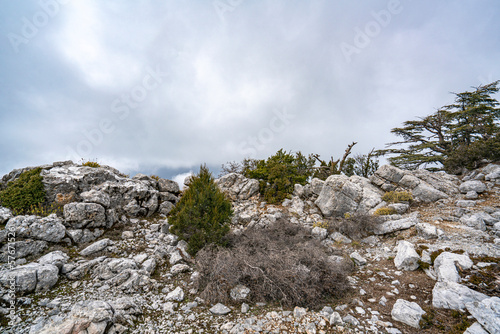 The identification of Mnara with Marmara has generally been accepted at the site of Kavak Daği where it extends over the top and slopes at 1350 m, behind Kemer. photo