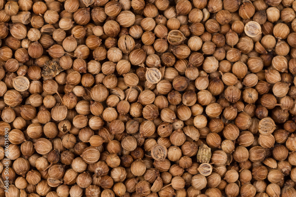 Close up of dried coriander seeds Close up of dried coriander seeds