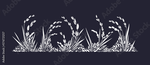 Rice field, mix grains Vector texture drawn plant