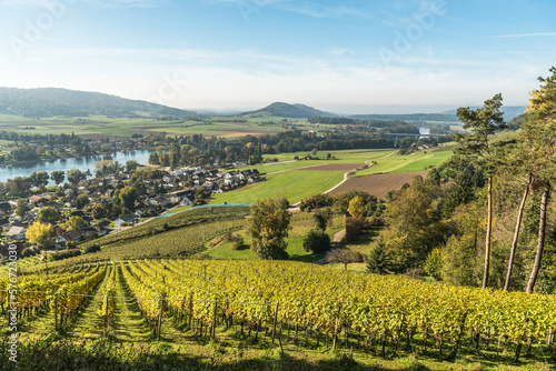 View from Hohenklingen Castle to vineyards and the Rhine, Stein am Rhein, Canton Schaffhausen, Switzerland