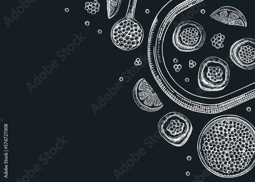 Seafood banner design with red caviar canape, canned caviar, lemons, spices on tray sketches on chalkboard. Sea delicacy background template for restaurant or finger food menu