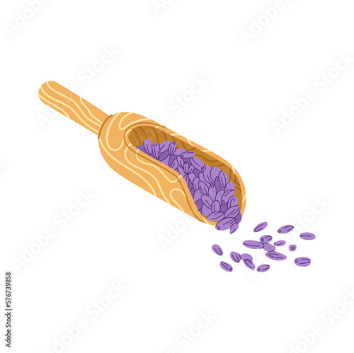 Lavender flowers fragrant ingredients in wooden spoon. Vector aromatic flower buds for aromatherapy, perfumery and organic cosmetics, perfume emblem