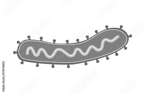 The viral molecule of Marburg virus in icon concept.