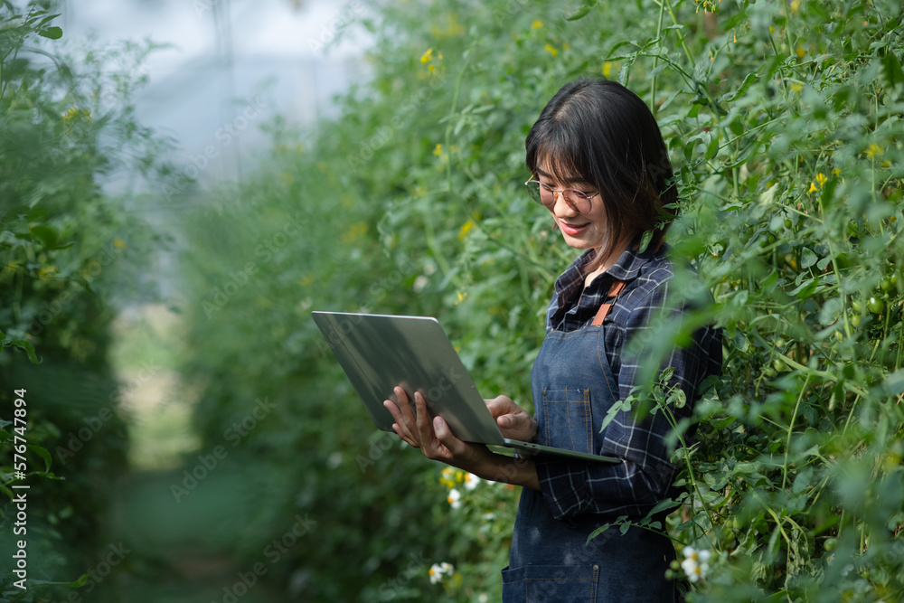 Smart farming and precision agriculture 4.0, Asian farmer woman holding a laptop in a greenhouse. Smart farming and precision agriculture 4.0, Asian farmer woman holding a laptop in a greenhouse.