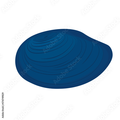 Mussels vector illustration. A blue seashell. Underwater inhabitants of the ocean. Isolated on a white background.