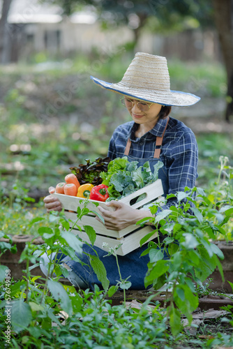 Organic farmer in a vegetable field holding a wooden box of beautiful freshly picked vegetables  Organic vegetables and healthy lifestyle concept.