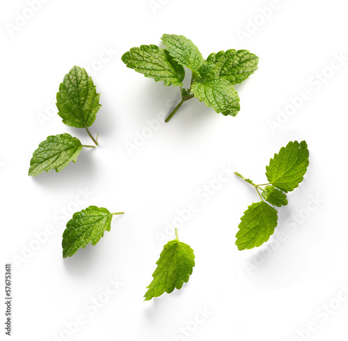 fresh mint leaves with real transparent shadow isolated on transparent background photo