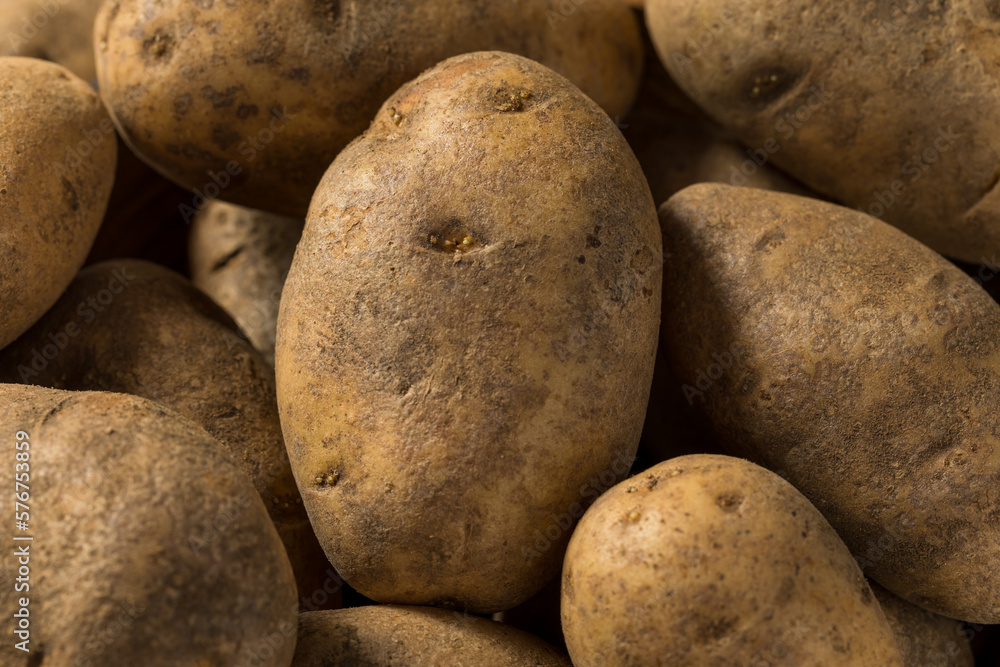 Raw Brown Organic Russet Potatoes Raw Brown Organic Russet Potatoes