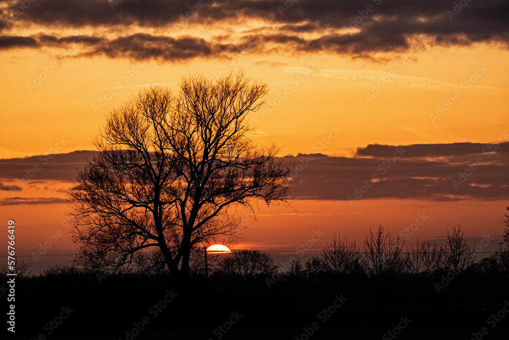 Colorful sunset with tree shilouette and cloudscape