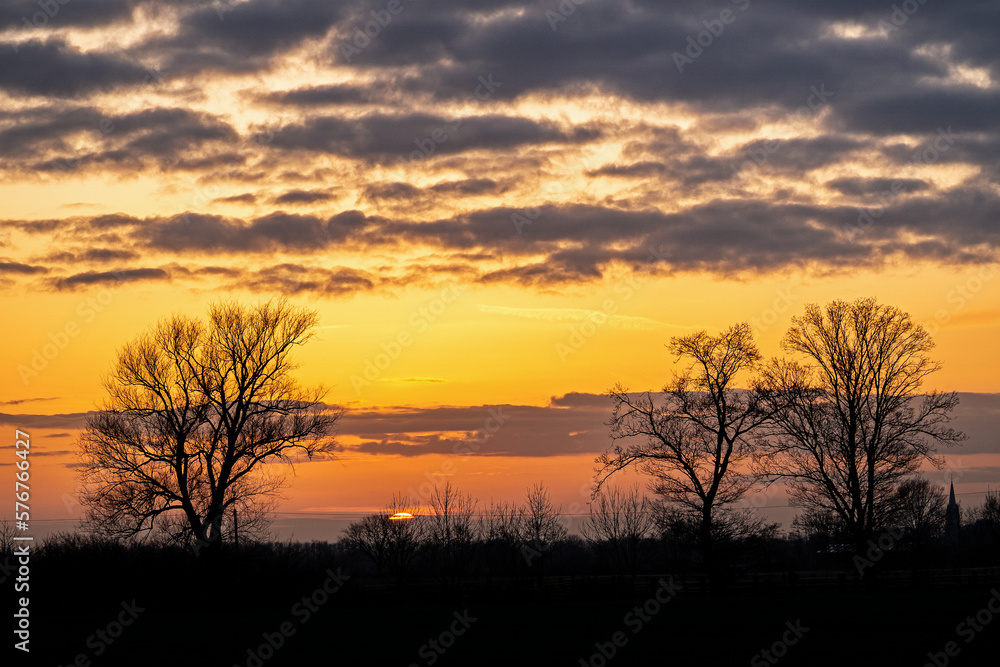 Colorful sunset with tree shilouette and cloudscape