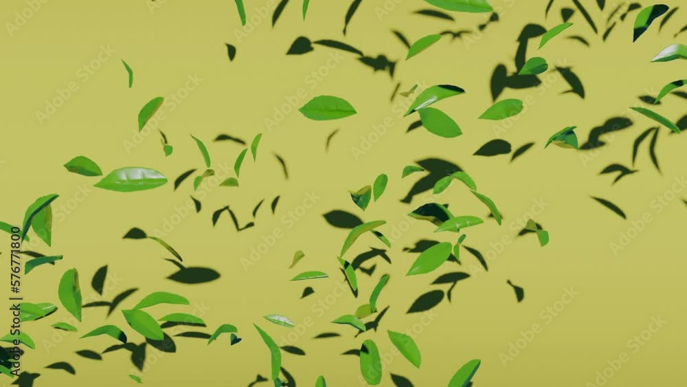 Green tea leaves fall and fly on a yellow background. Abstract animation Green tea leaves fall and fly on a yellow background. Abstract animation