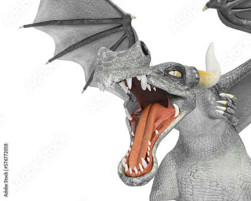 dragon cartoon attacking close up photo