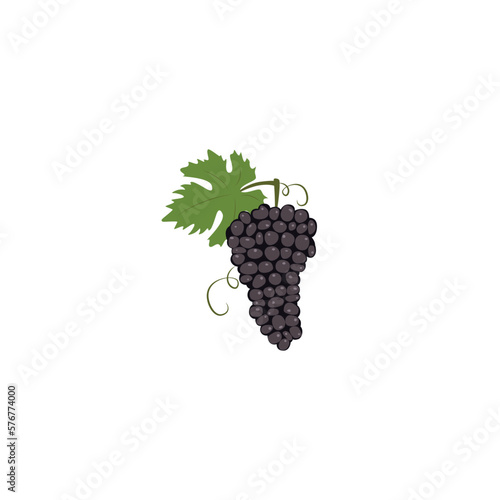 Black muscat grape. Blue grape bunch. Flat design of red grape branch, green leaf. Vector illustration isolated on white background. For template label, packing, web, menu, logo, textile, icon