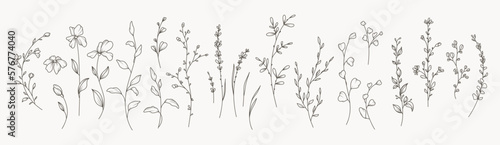 Hand drawn thin floral botanical line art. Trendy minimal elements of wild and garden plants, branches, leaves, flowers, herbs. Vector illustration for logo or tattoo, invitation save the date card