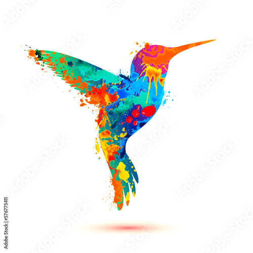 Hummingbird silhouette of splash paint