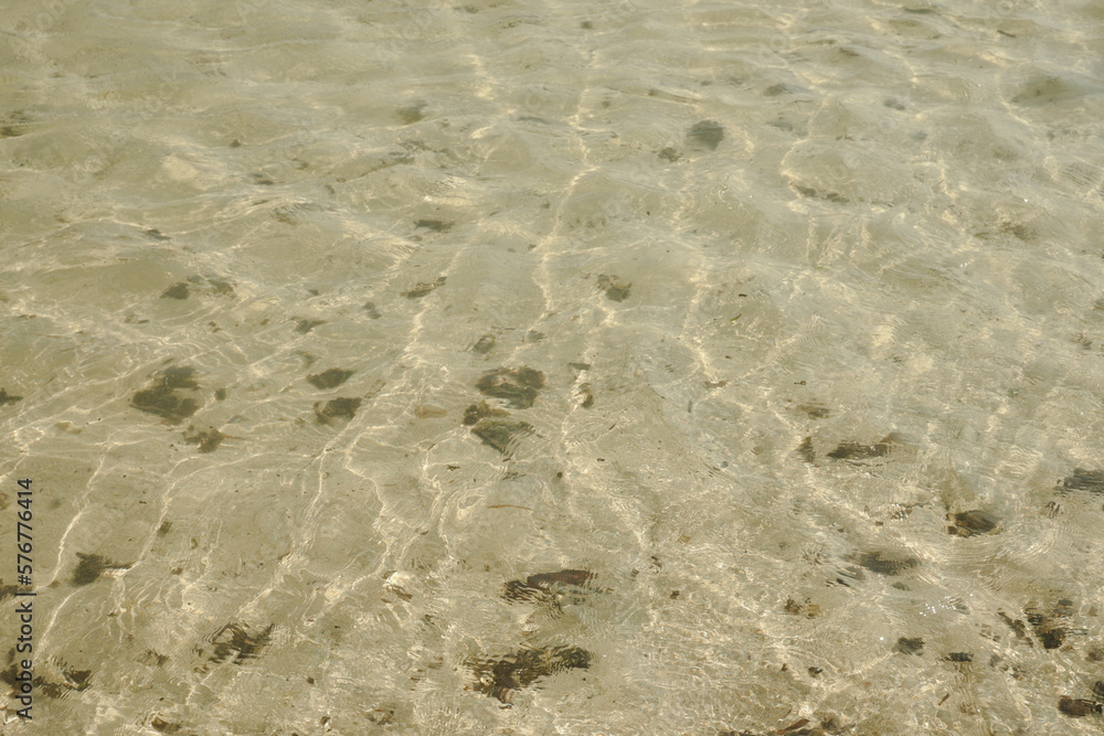 Mesmerizing blend of ocean waves and soft sandy beaches, creating a stunning textured backdrop for your creative needs Mesmerizing blend of ocean waves and soft sandy beaches, creating a stunning textured backdrop for your creative needs