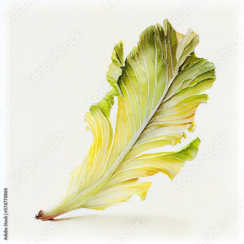 Watercolor Belgian Endive Isolated on White Background. Generative AI
