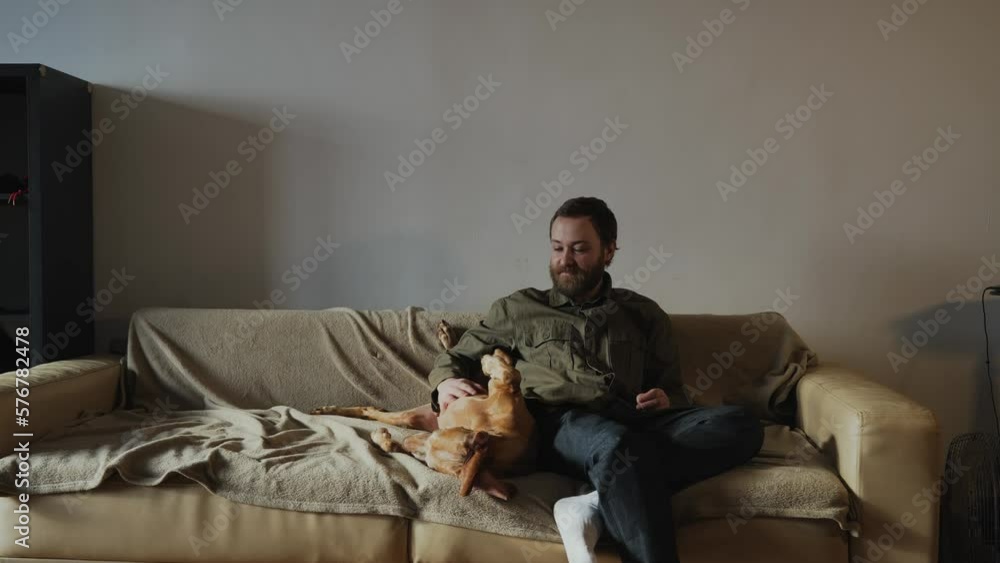 A young millennial man with a smile on his face is sitting with his elderly dog on the couch and caressing her, stroking her stomach. A pleasant evening for a freelancer man with his pet. 4k footage A young millennial man with a smile on his face is sitting with his elderly dog on the couch and caressing her, stroking her stomach. A pleasant evening for a freelancer man with his pet. 4k footage