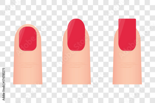 Nail shapes. Different kinds of nail shapes. Sqare, Oval and natural nail shape. Manicure Guide. Vector illustration