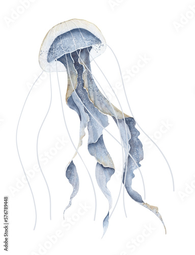Watercolor illustration of Jelly Fish on isolated background. Hand drawn sketch of Jellyfish in pastel blue colors. Undersea Ocean animal. Sketch of underwater Medusa for icon or logo. Colorful paint
