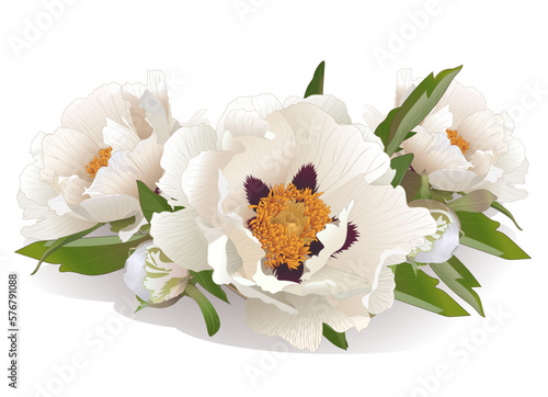 Decorative boutonniere bouquet of white wood peony flowers for wallpaper decor, postcards, weddings, holidays