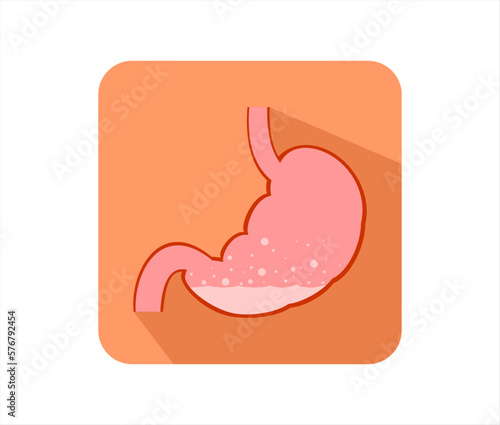 Flat design of gastric organ or stomach