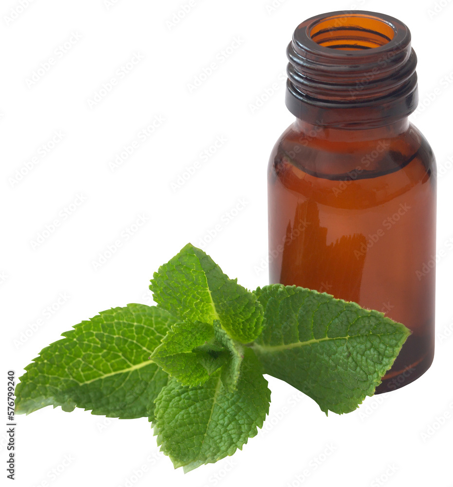 Mint leaves with essential oil in a bottle Mint leaves with essential oil in a bottle