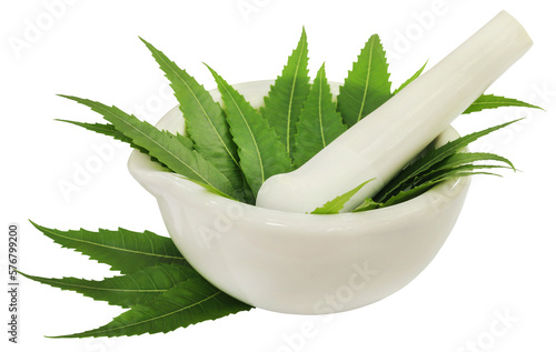 Photos Medicinal neem leaves