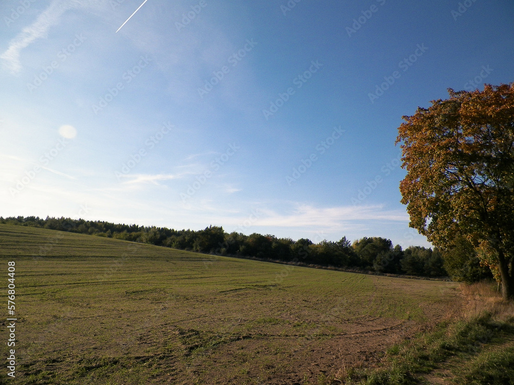 End of summer - autumn trees and fields. Mechelinki, Poland. End of summer - autumn trees and fields. Mechelinki, Poland.