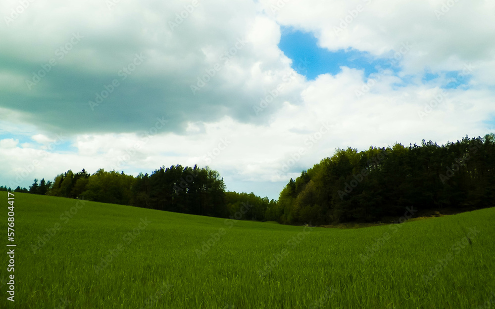 Green fields in Kashubia region - Northern Poland.