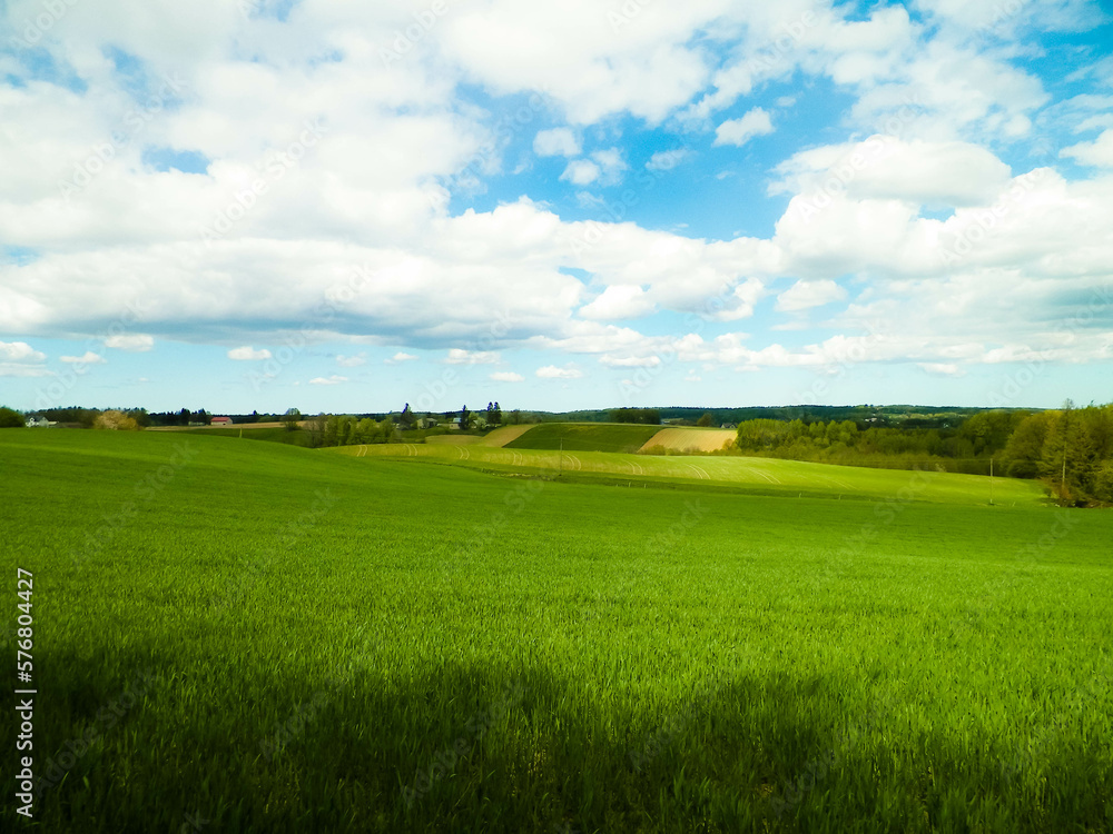 Obraz premium Green fields in Kashubia region - Northern Poland.