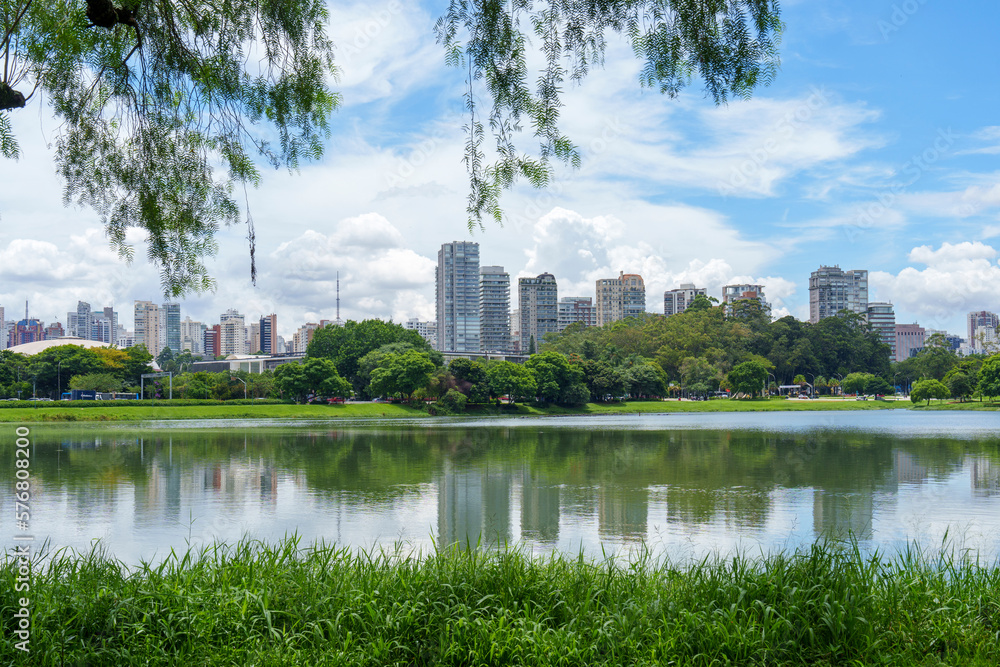 paisagem do parque da cidade. Contato com a natureza. paisagem do parque da cidade. Contato com a natureza.
