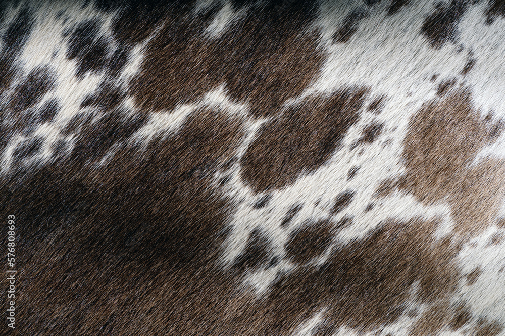 Texture of brown cowhide skin Texture of brown cowhide skin