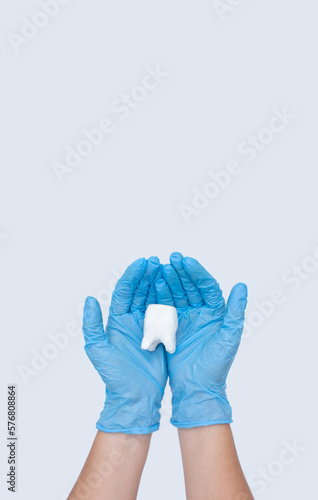 Doctor hands holding big tooth on blue background. Healthy care teeth concept. Top view, flat lay. Copy space for your text.