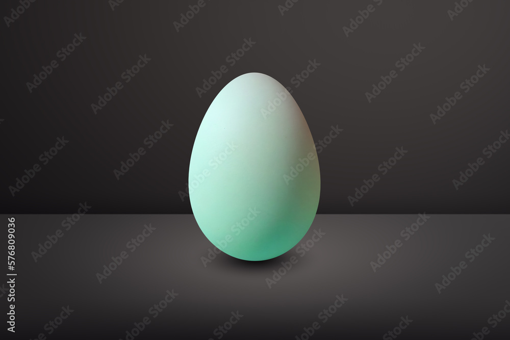 green Egg in front of a black wall and on a black floor green Egg in front of a black wall and on a black floor