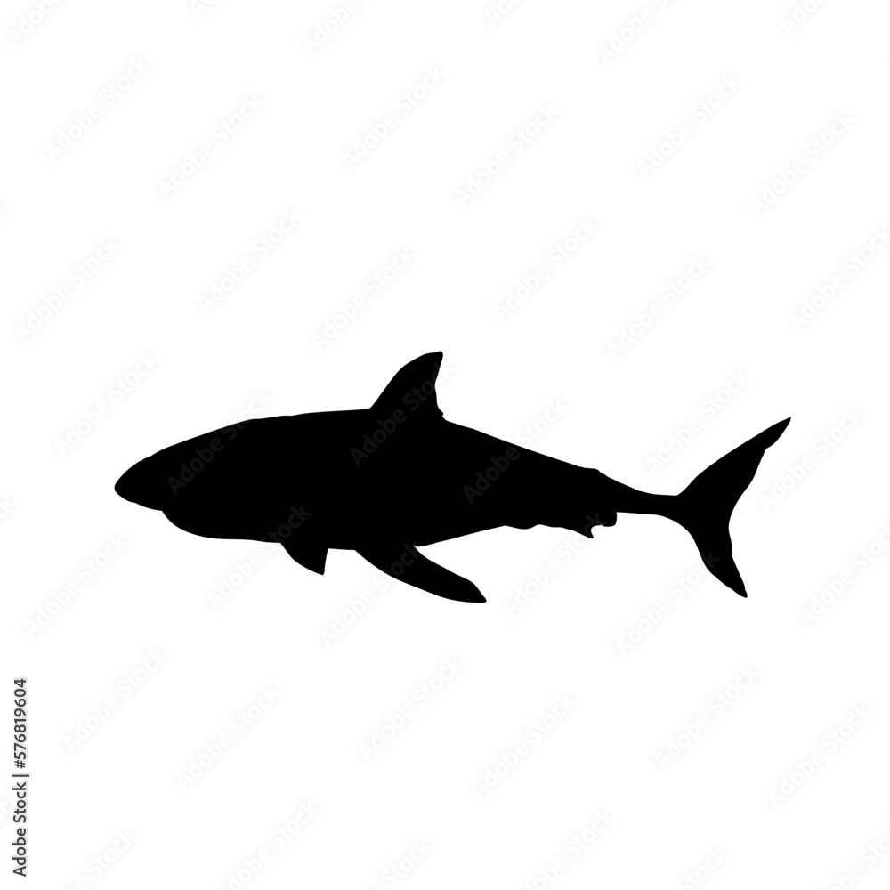 Obraz premium shark silhouette isolated on white