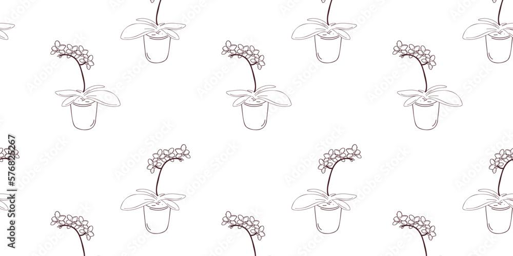 Fototapeta premium Seamless pattern with orchids in a pot, doodle or line vector illustration