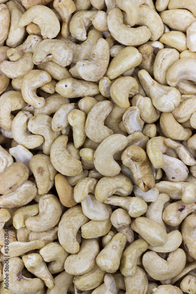 Fresh raw cashew Fresh raw cashew