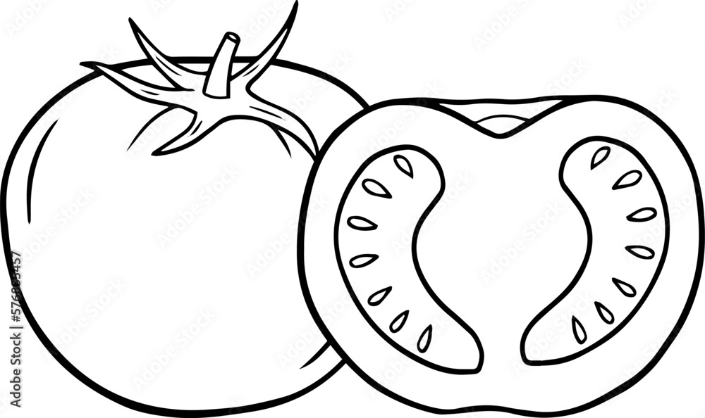 Illustration of a half tomato in a hand drawn style.