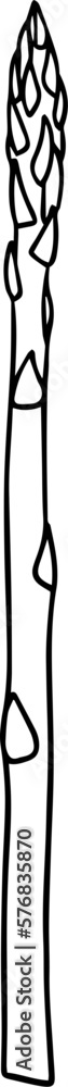 Illustration of a asparagus in a hand-drawn style. Illustration of a asparagus in a hand-drawn style.