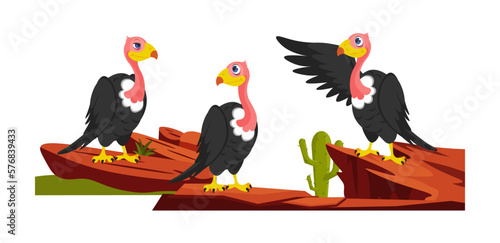 Vector illustration of a cute and beautiful African vulture on a white background. Charming vulture characters on rock and with cactus in different poses and emotions in cartoon style.